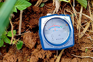 Kalaw: Rehabilitation Work for Flood-Affected Farmers